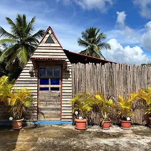 Coconut , La Verita Dominican Republic